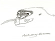 Doodle by Anthony Browne